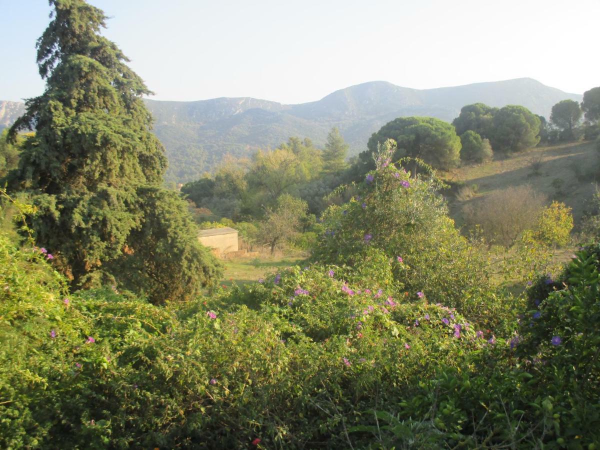Coin De Paradis Quinta do Anjo Dış mekan fotoğraf