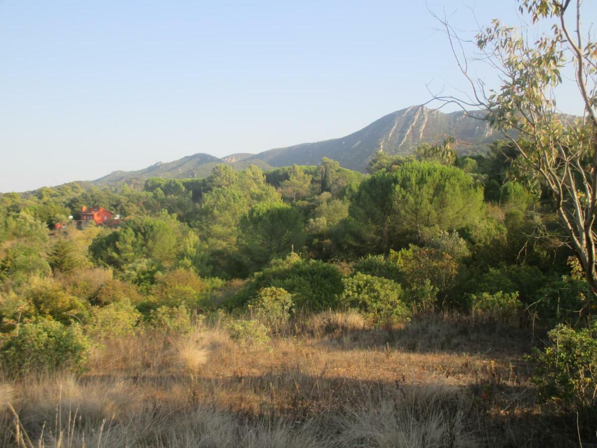 Coin De Paradis Quinta do Anjo Dış mekan fotoğraf